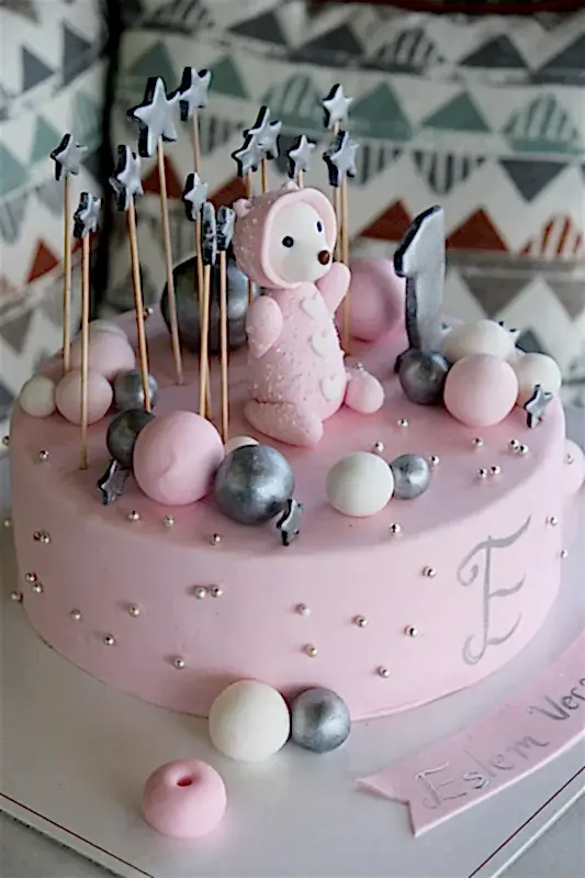 Butik Kapşonlu Köpek Pasta