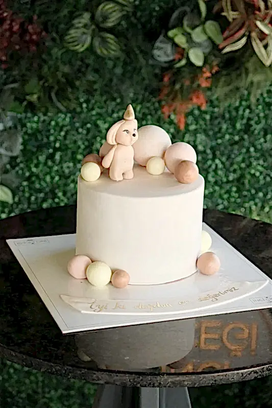 Butik Köpekli Pasta