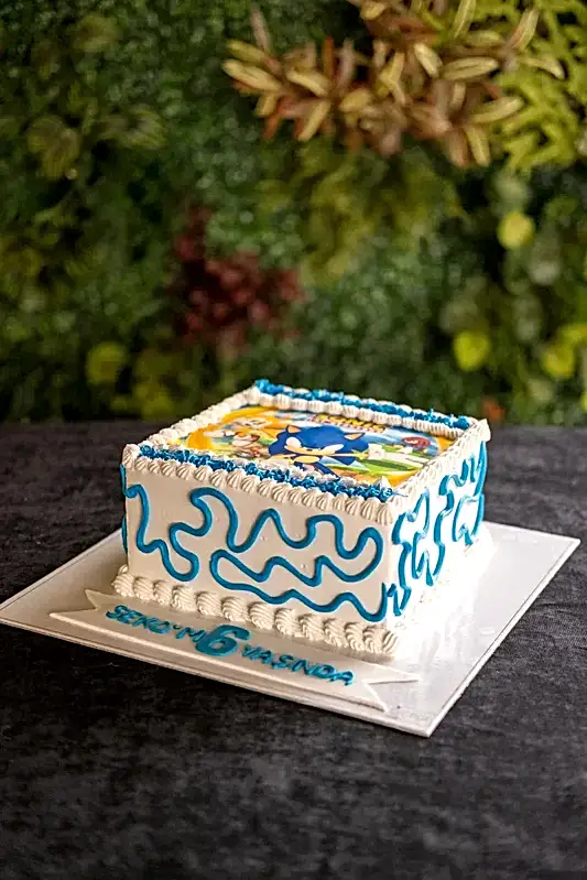 Butik Resimli Kirpi Sonic Pastas