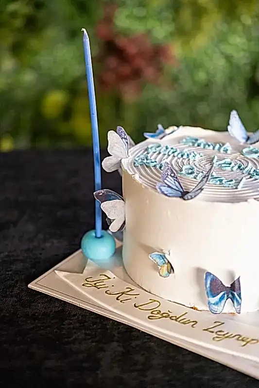 Butik Mavi Kelebekli Motto Pasta